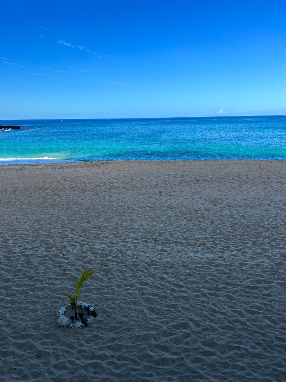 Beachfront scene featuring a green, multi-story building with balconies, palm trees, and sandy shore. Highlights a relaxing coastal atmosphere.