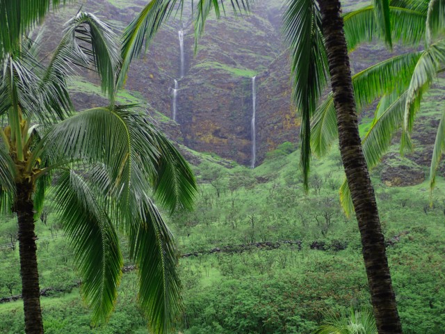 Palm trees frame the view of cascading waterfalls down a green mountain, surrounded by dense vegetation.